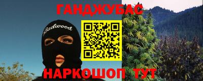 индика Можга