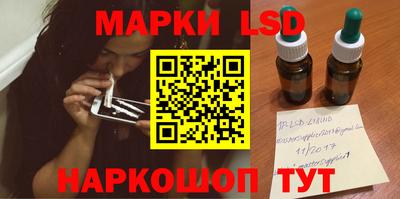индика Можга