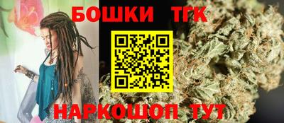 индика Можга