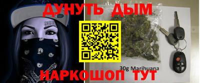индика Можга