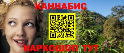индика Можга