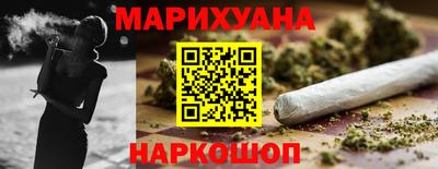 индика Можга