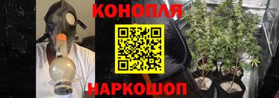 крисы Можайск