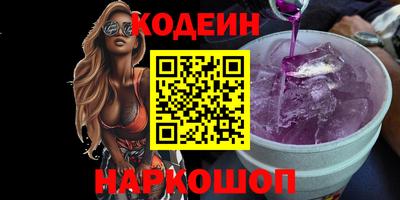 индика Можга