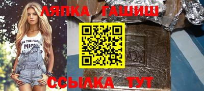 индика Можга