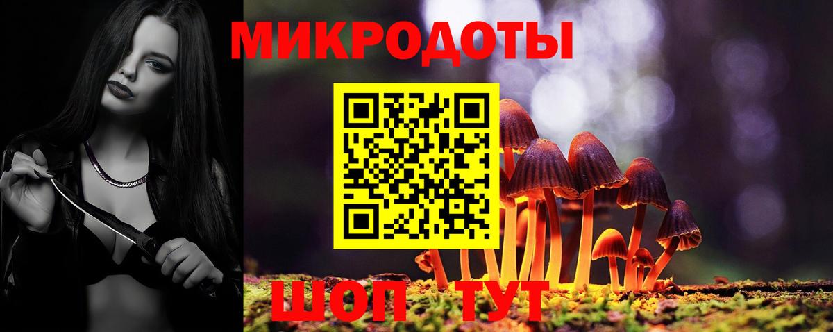 Псилоцибиновые грибы Psilocybine cubensis  Вход с VPN  Химки 